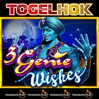 3 Genie Wishes